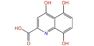 4,5,8-Trihydroxy-2-quinolinecarboxylic acid